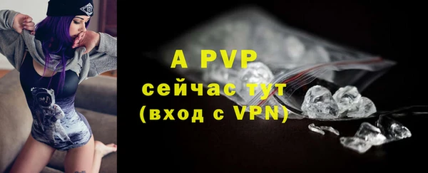 PSILOCYBIN Осташков