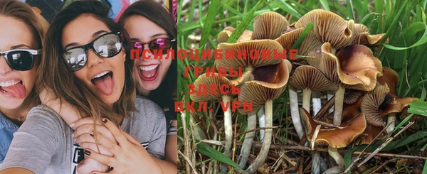 PSILOCYBIN Осташков
