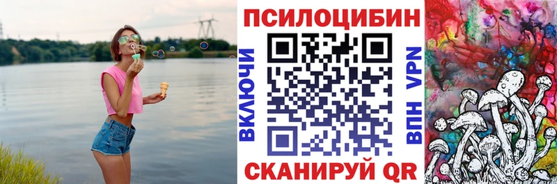 Псилоцибиновые грибы мицелий  Керчь 